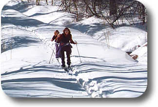 Skiers in the Burke Area. Photo by Scenes of Vermont