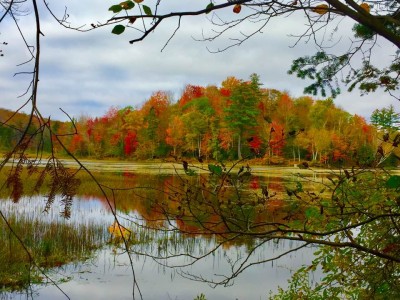 Lefferts_pond5.jpg