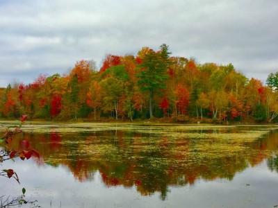 Lefferts_pond4.jpg