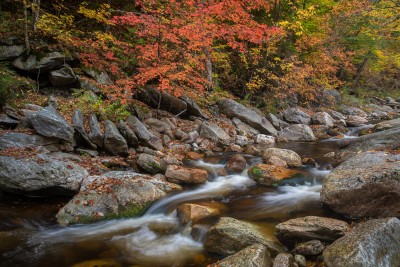 Kelley Stand Road Stream.jpg