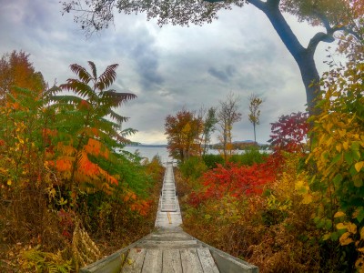 bikepath_dock.jpg