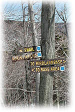 Mad River Glen trails signs in Birdland