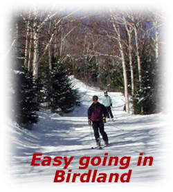 skiers taking it easy in Birdland at MRG