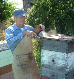 Working the hives