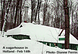 Maple Syrup Sugar House in Holland, Vermont sits buried in snow following Valentine's Day storm