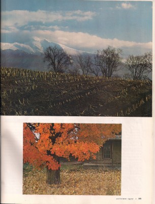 Autumn 1977 - Artistry of Richard Brown.jpg