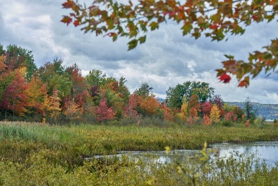 swampmaples_bikepath.jpg